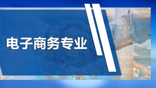 电子商务行业专业技能