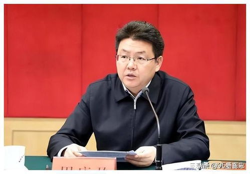 跑马市长刘佳晨被免职，权力与责任的双重审视