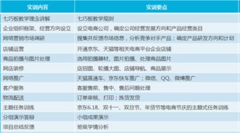 电子商务专业实训软件